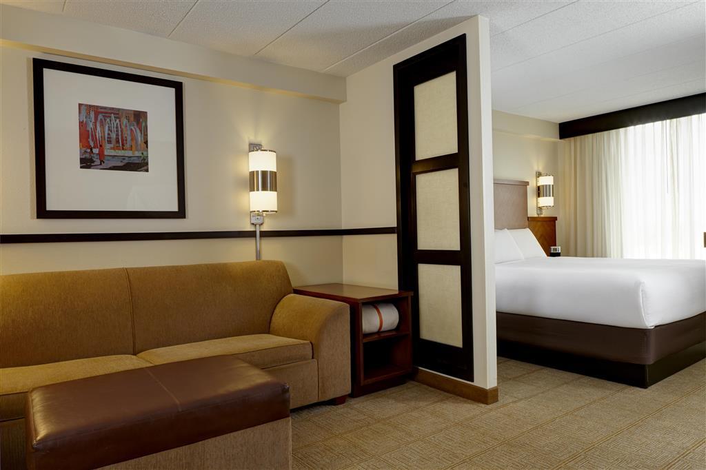 Hyatt Place Atlanta/Cobb Galleria Smyrna Pokoj fotografie